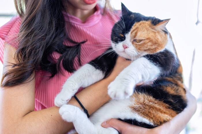 猫が『塩対応』を取りやすい場面3選　急に素っ気なくなる理由や接し方のポイント