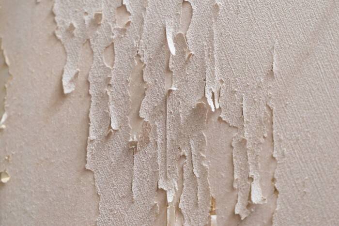 猫と暮らせる『ペット可物件』で起こりうるトラブル5つ　注意すべきことや対策方法もご紹介