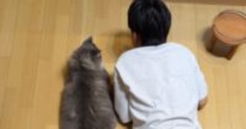 男の子のとなりで一緒にくつろぐ『大型猫』…思わず抱きつきたくなる『魅惑のボディ』が32万再生「羨ましいサイズ感」「でっかー」と反響