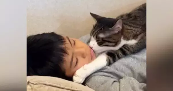 高熱を出して『寝込んでいる男の子』に……猫が見せた『普段とは違う姿』に涙が出ると120万再生「わかるんだよね」「子供の頃を思い出した」