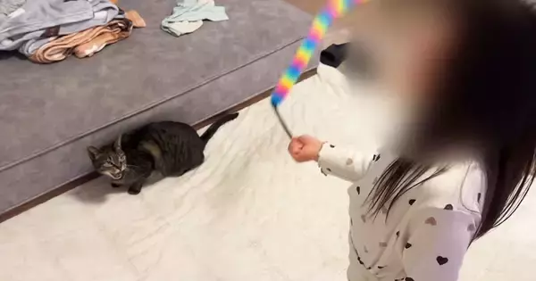 女の子が歌いだした次の瞬間、近くにいた猫が…完璧に『合いの手』をいれる『尊すぎる光景』に「信じられない」「一緒に歌ってる」と反響