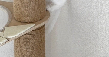 『知らない人』が家にきた結果…猫が見せた『まさかの隠れ方』が可愛すぎると1万いいね「壁と同化して気づかれないはず」「丸見えｗ」