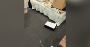 『猫がいない』と思ったら、部屋に置いてある物が突然動き出して…笑ってしまう光景に4万いいね「スニャーク」「なかなかの激怖案件」