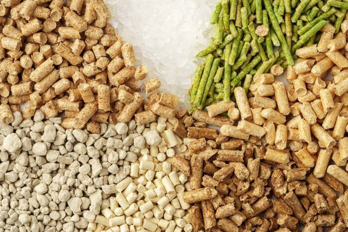 猫のトイレが臭うときの『ニオイ対策』6選　効果的な方法や見直したいポイント