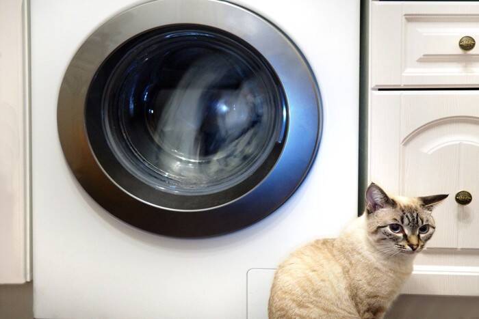 猫が起こしかねない『洗濯機』のトラブル3つ　入りたがる理由から防ぐための対策まで