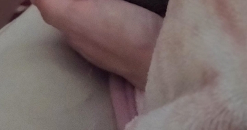 飼い主さんと一緒に寝るネコ→『おてて』を見ると……とんでもなく尊い光景に６万いいね「良い夢が見られそう」「うらやましすぎる」