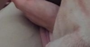 飼い主さんと一緒に寝るネコ→『おてて』を見ると……とんでもなく尊い光景に６万いいね「良い夢が見られそう」「うらやましすぎる」