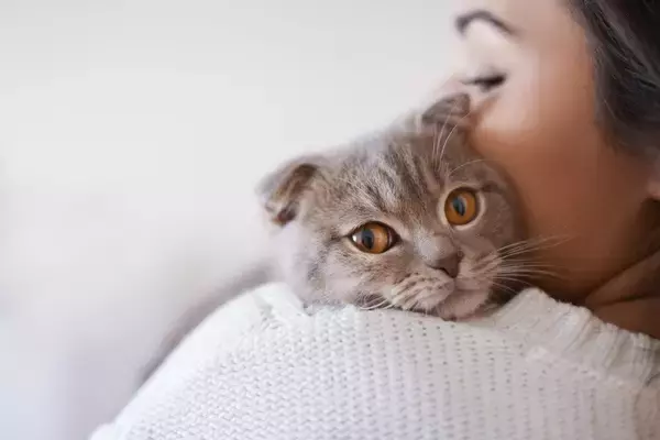あなたの愛猫はどんな性格？　猫は「飼い主の性格や行動に似る」ことが英国の研究で明らかに