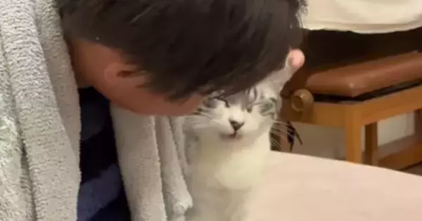 長男にだけ『特別な甘え方』をする猫…まるで恋人同士のような『尊すぎるやり取り』が68万再生「もう彼女ｗ」「大好きが溢れてるねｗ」