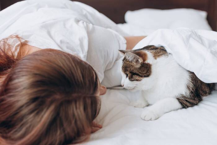 猫は飼い主のことを『どんな存在』だと思っているの？　考えられる3つの心理や気持ちを読み解くヒント