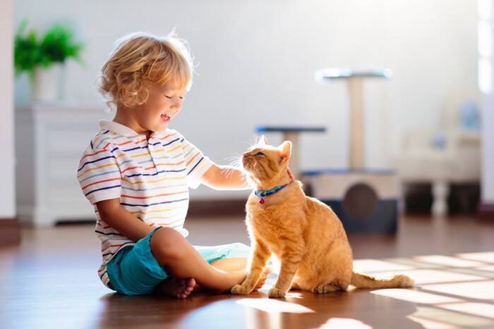 猫は飼い主のことを『どんな存在』だと思っているの？　考えられる3つの心理や気持ちを読み解くヒント