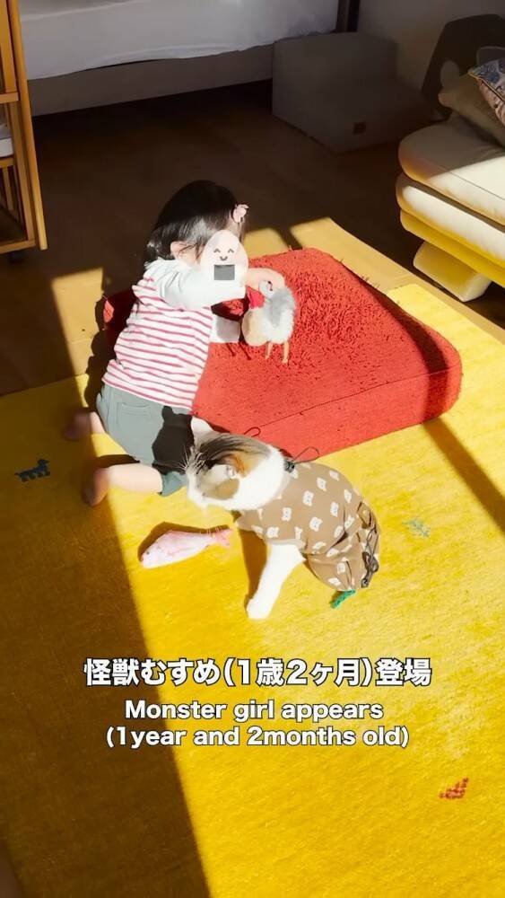 赤ちゃんに大好きなおもちゃを取られたら→猫は……まさかの"反応"に感動の声続出！「目頭が熱くなった」「ウルウルしちゃう」と14万再生