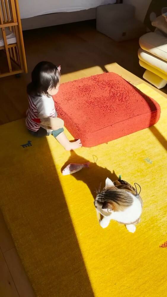 赤ちゃんに大好きなおもちゃを取られたら→猫は……まさかの"反応"に感動の声続出！「目頭が熱くなった」「ウルウルしちゃう」と14万再生