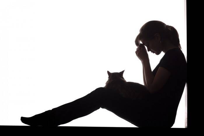 ペットロスの悲しみは猫にも？意外と知らない「同居の動物が亡くなったときの猫の反応」【獣医師執筆】