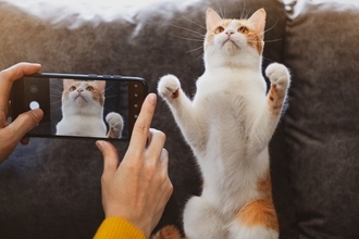 猫を好きな人なら共感できる『あるある』5つ　あなたも無意識にやっているかも？