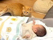 夜、添い寝の相手を探すネコ→赤ちゃんしか見つからなくて…次の瞬間見せた『尊い光景』が22万再生「微笑ましい」「着実に距離縮まってる」