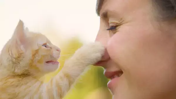 猫が語尾をあげて『ニャ？』と鳴く理由3選　聞きたいことがある？気持ちを読み取るポイントまで