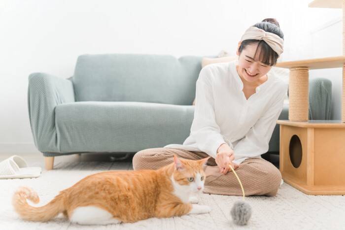 猫が『雷や台風』を怖がってしまう理由3つ　不安を感じているサインや落ち着かせるコツも