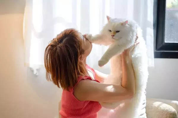 猫が『抱っこが大きらい』になってしまう原因5選　嫌がる子は抱っこの何がダメなの？