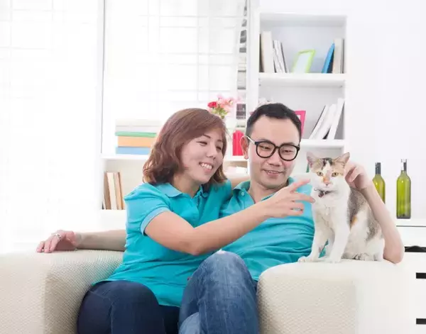 高齢化で支出が拡大傾向に　「愛する猫のための市場」が急成長　香港