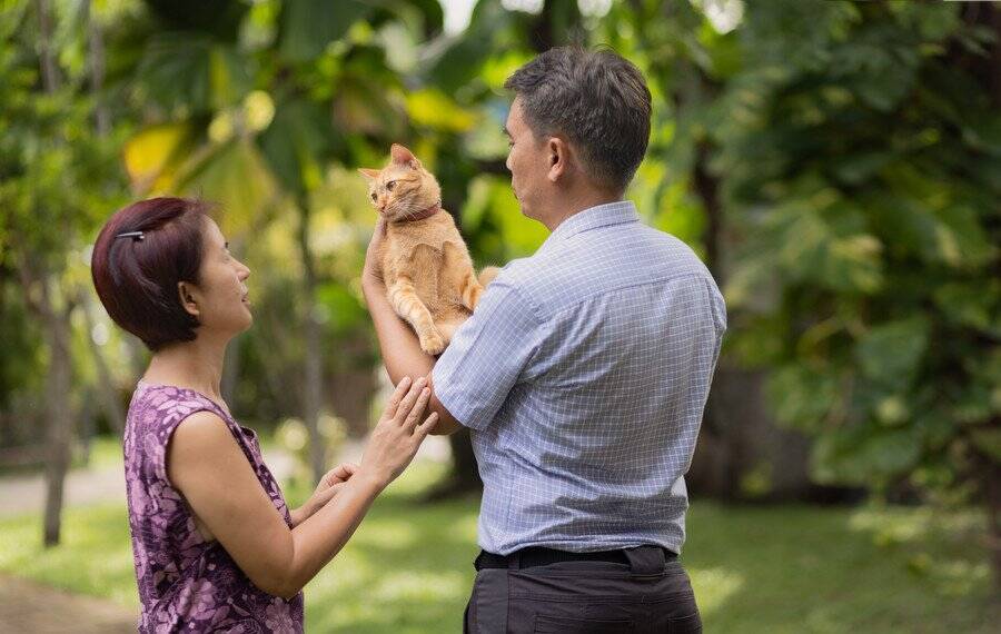 高齢化で支出が拡大傾向に　「愛する猫のための市場」が急成長　香港