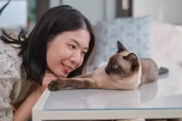 猫に『話しかける』と起こるメリット3つ　愛猫が心地よく感じる話し方のポイントまで
