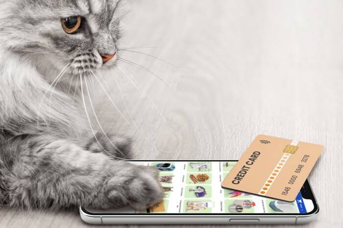 猫の飼い主が『買ってから後悔』しやすいアイテム5選　失敗しがちな原因や選び方のコツ