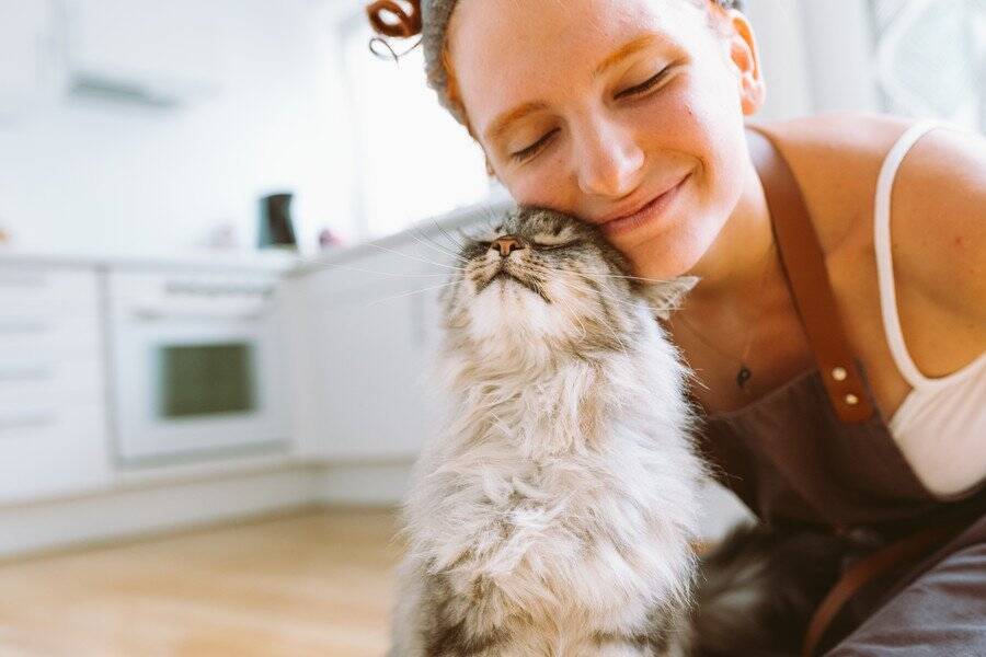 12年の時を経て再会した21歳の愛猫！　余生は愛する家族のもとで　カナダ