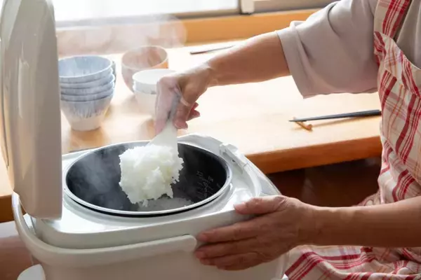 猫が『炊飯器に乗ろうとする』4つの理由　温かさを求めているの？やめさせるための対策方法も