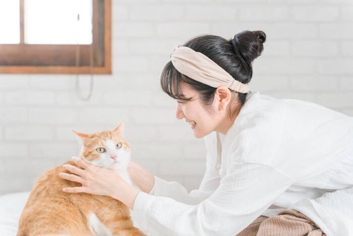 猫とふれあいながらできる『健康チェック法』7選　見るべきポイントや異常サインの見分け方