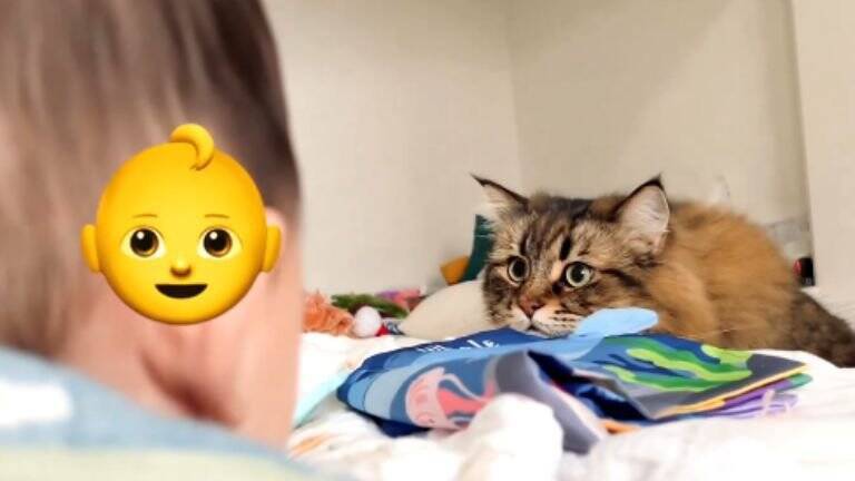 0歳児と『5ヵ月ぶりに再会』した猫の反応が……思わぬ成長に驚く様子が可愛いと16万表示「何度も見ちゃう」「やさしいねぇ」の声