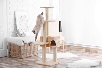 愛猫にぴったりな『キャットタワー』を選ぶコツ5つ　タイプ別の良い点・悪い点や失敗しないためのポイント