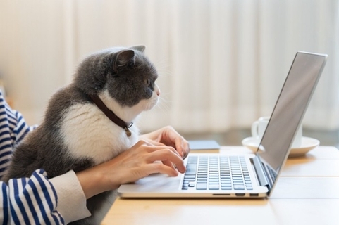 猫と『いつも一緒』にいることが危険な理由4選　起こりうるトラブルや適切な接し方