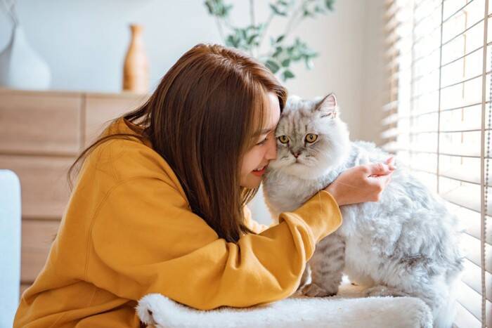 猫と『いつも一緒』にいることが危険な理由4選　起こりうるトラブルや適切な接し方