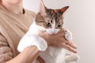 猫が『甘噛み』してくるときの心理3選　放置すべきでない理由や正しい対処法も解説