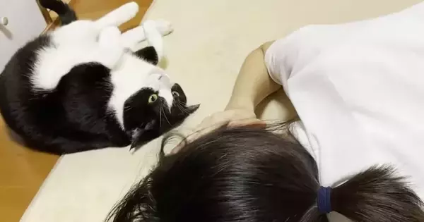 娘のことが気になる猫たち→近くにやってくると…あまりにも尊い『愛情表現』が44万再生「大好きなのが伝わる」「愛されてるねｗ」