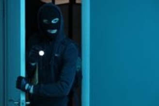 侵入盗を追い払って飼い主さんを守った高齢猫！　犯人逮捕につながる「お手柄」に称賛の声　英国