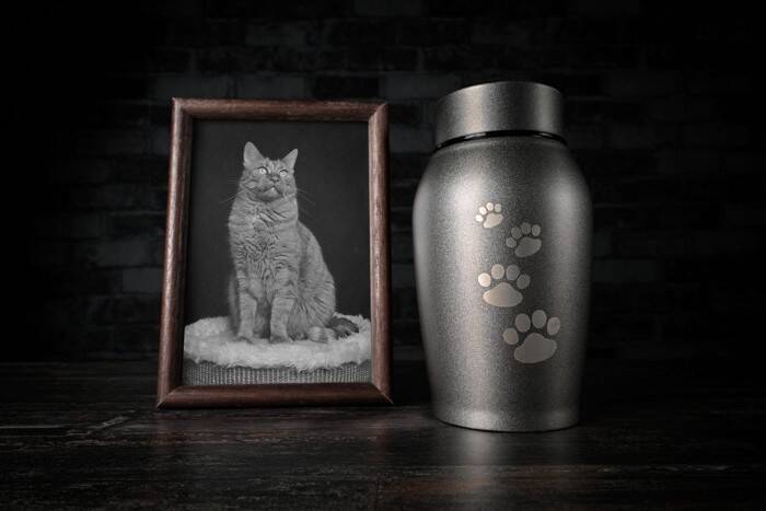 『愛猫を亡くした人』のためにあなたができること3つ　避けるべき行為や適切な支え方まで