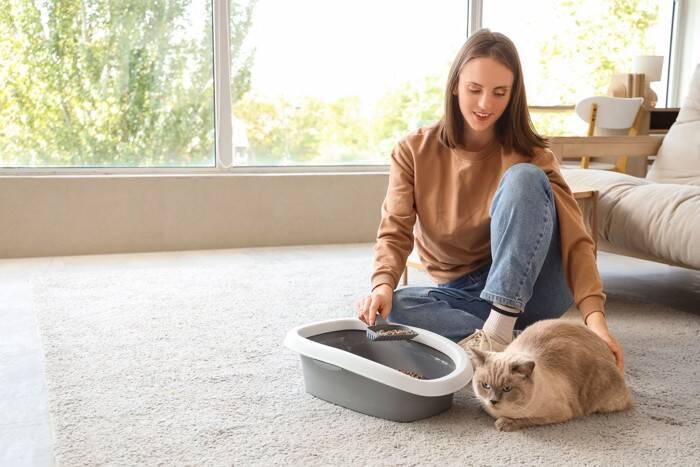 猫に苦痛を与える『トイレの設置場所』5つ　健康トラブルに繋がるリスクや改善策も解説