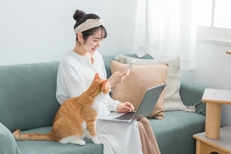 猫の撮影を『プロのカメラマン』に依頼するには？事前に知っておきたい4つの知識をご紹介