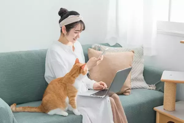 猫の撮影を『プロのカメラマン』に依頼するには？事前に知っておきたい4つの知識をご紹介