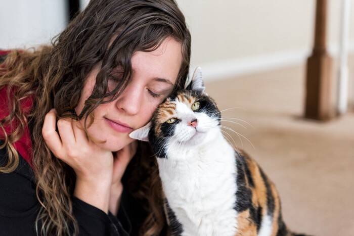 猫を『甘えん坊』に育てる方法4つ　性格に影響を与える時期や関わり方を解説