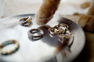 猫が『机の上にある物』を落としたがる理由4つ　意外な心理や取るべき対処法も解説