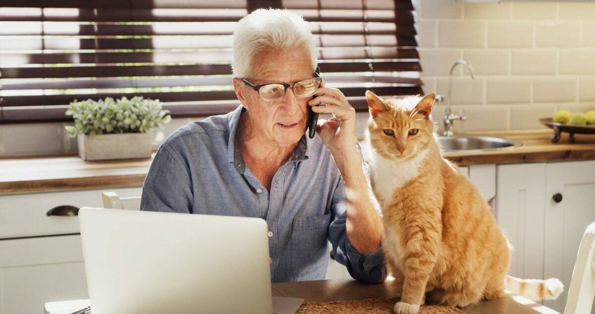 猫が命を落としかねない『生の食べ物』3つ　知らないと危険な理由や誤って食べた場合の対処法まで