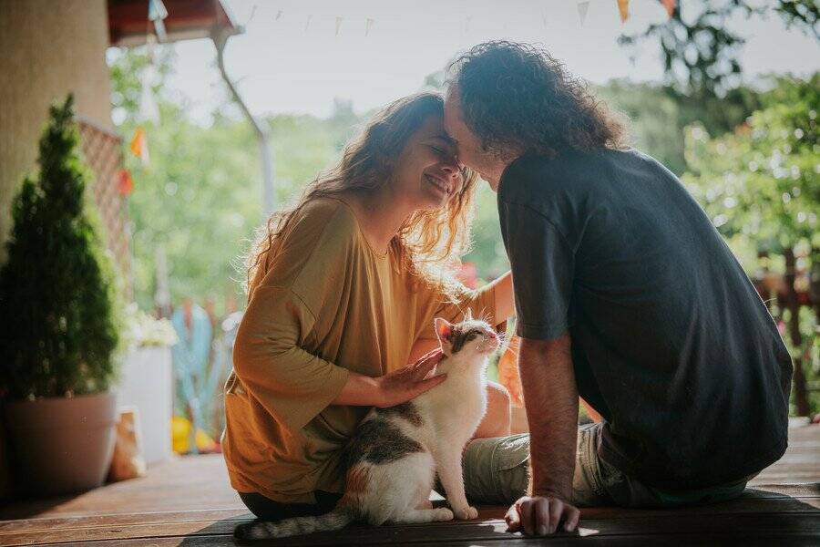 国境を越えて迷子の愛猫が戻ってきた！　スペインからフランスへ「5ヵ月間・250キロ」の旅路