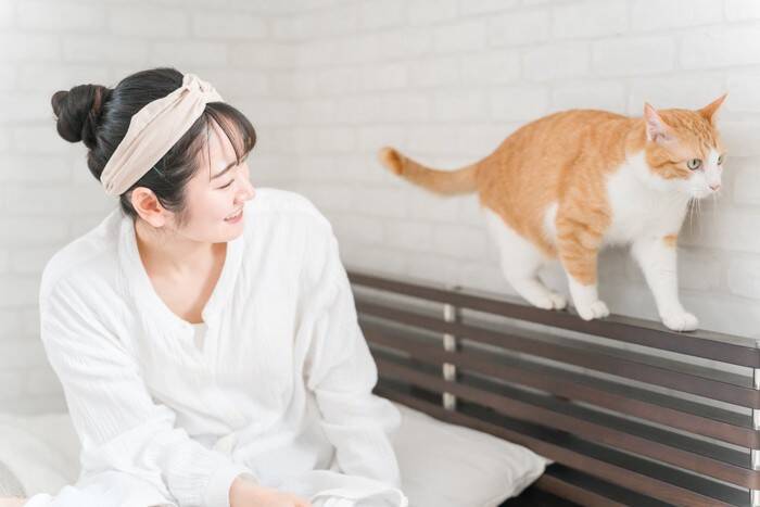 猫にまつわる意外と知らない『カタカナ用語』4選　言葉の意味や豆知識もご紹介
