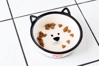 愛猫が『ご飯をちょこっと残す』心理5選　そのまま置いておいたほうがいい？