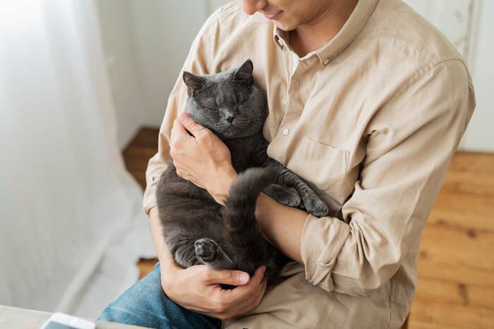 猫のことを『幸せにさせる飼い主』に共通する特徴5つ　参考にしたい接し方や心がけたいこと