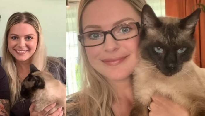 捨てられたシャム猫の可愛いお手手の秘密とは？“ヘミングウェイ・キャット”の愛らしい個性とその後