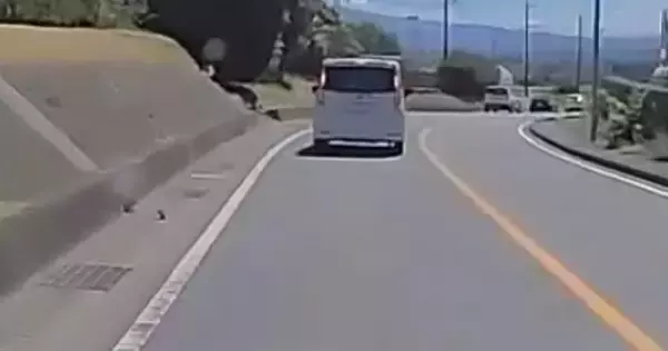 車の運転中、道路脇で『何かが動いている』のが見えて…小さな命が救われた一部始終に「気づくの凄い」「見つけてもらえてよかった」の声